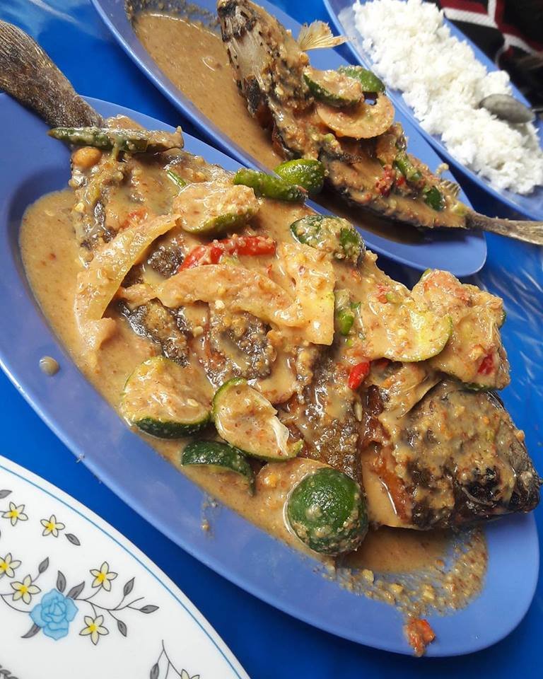 Ikan Pencek Power
